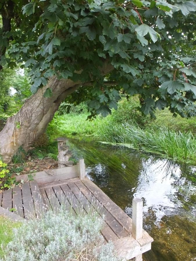 Stourbank Cottage Ipswich Bagian luar foto